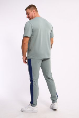 Мужской костюм 35282 / полынь