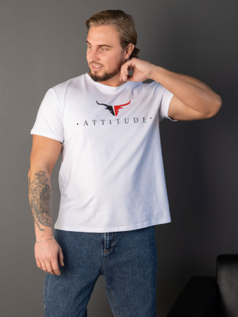 Мужская футболка мод.2164/1 / Белый