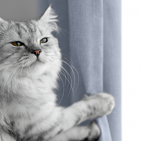 Комплект штор "Волшебная Ночь" Рогожка / Арктика