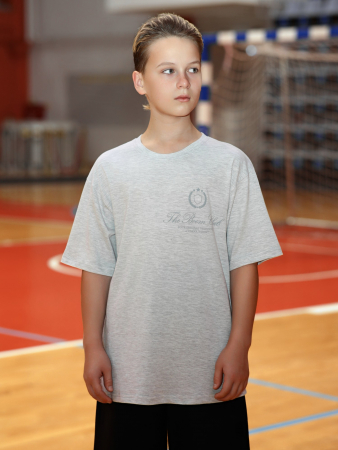 Футболка для мальчика Успех-8.1 / кармеланж