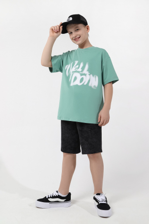 Детская футболка для мальчика Леон-3 / зеленый