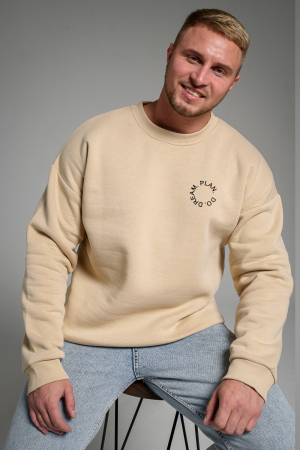 Мужской свитшот 8559 / бежевый+мечты