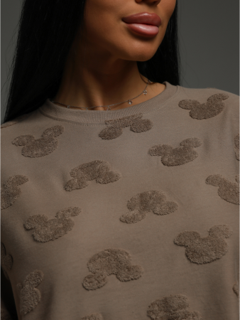 Женская футболка Ирбис / Махра, кофе микки