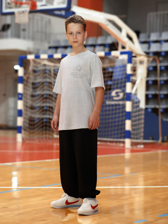 Футболка для мальчика Успех-8.1 / кармеланж