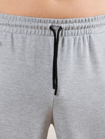 Брюки мужские Тор-4.2 / серый меланж