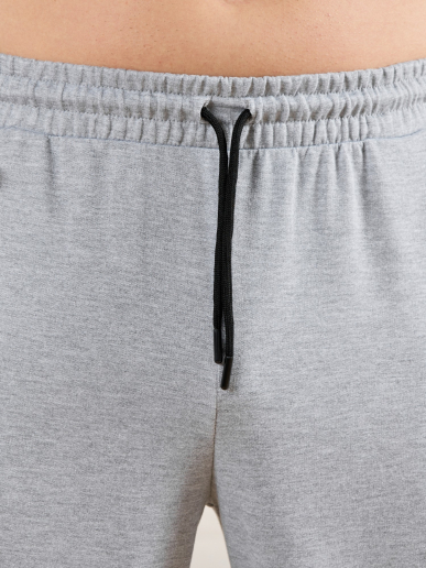 Брюки мужские Тор-4.2 / серый меланж