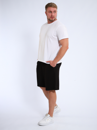 Мужские шорты мод.1493/2 / Черный