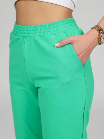 Женские бриджи Финикс / зеленый