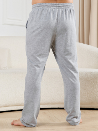 Брюки мужские Тор-4.2 / серый меланж