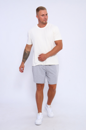 Мужские шорты 35336 / серый