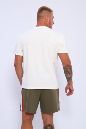 Мужские шорты 35336 / хаки