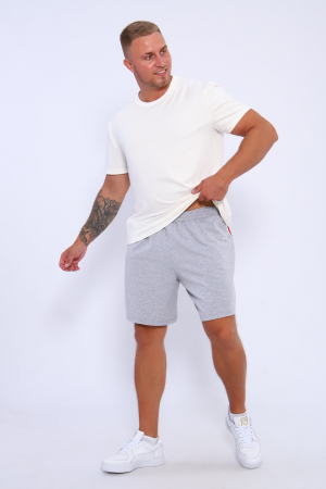Мужские шорты 35336 / серый
