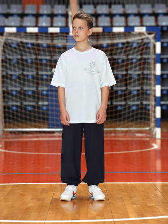 Брюки для мальчика Успех-4 / графитовый