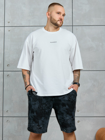 Шорты мужские Питон ШП-031 / разноцветный