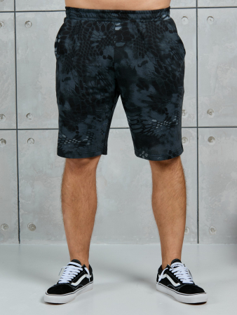 Шорты мужские Питон ШП-031 / разноцветный