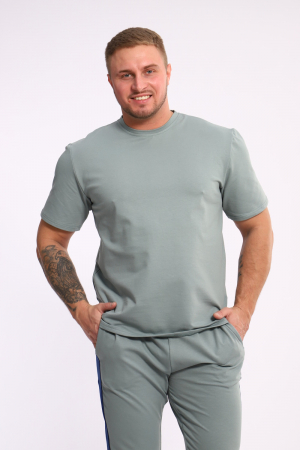 Мужской костюм 35282 / полынь