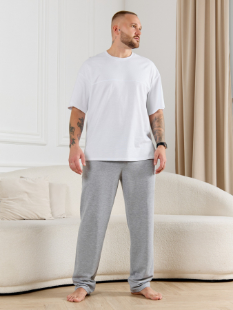 Брюки мужские Тор-4.2 / серый меланж