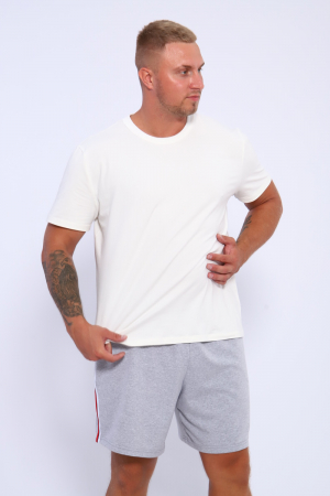 Мужские шорты 35336 / серый