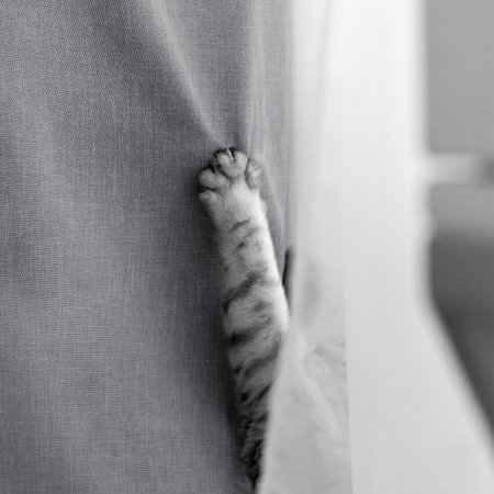 Комплект штор "Волшебная Ночь" Рогожка / Базальт