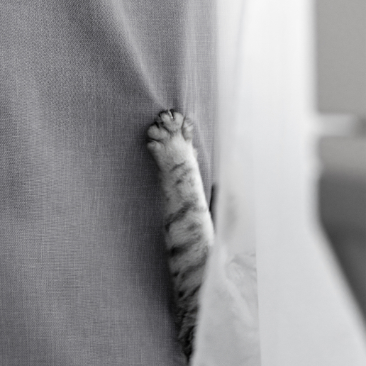 Комплект штор "Волшебная Ночь" Рогожка / Базальт