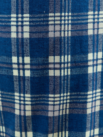 Брюки мужские Тор-1 / клетка синяя