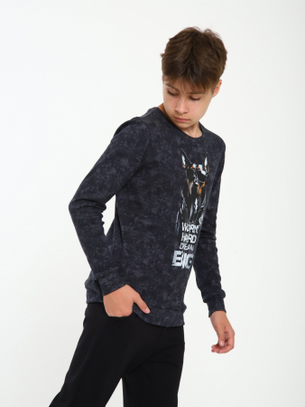 Детский свитшот "Мирон" / Графит