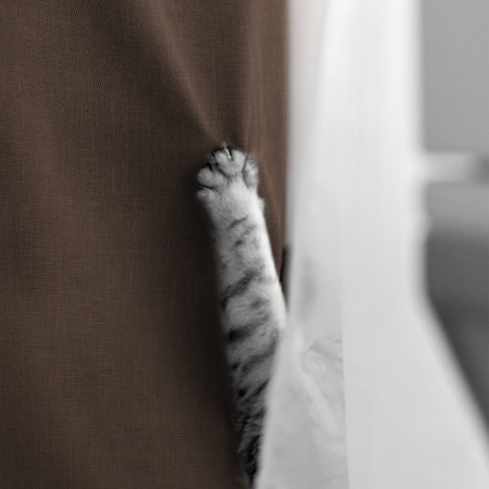 Комплект штор "Волшебная Ночь" Рогожка / Шоколад