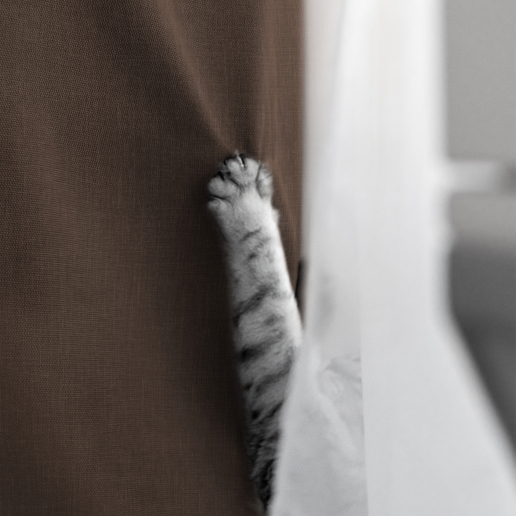 Комплект штор "Волшебная Ночь" Рогожка / Шоколад