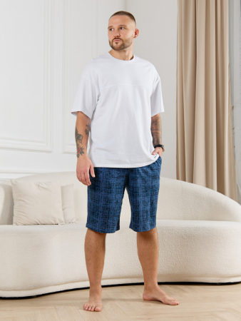 Шорты мужские Тор-2 / лён