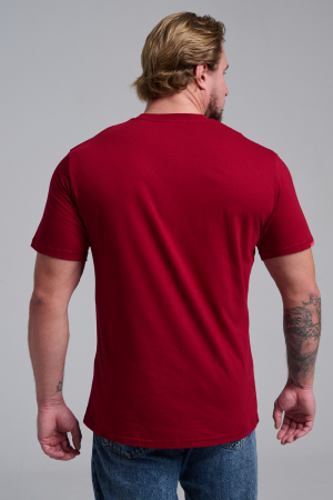 Мужская футболка 8581 / бордо+диско дедМ