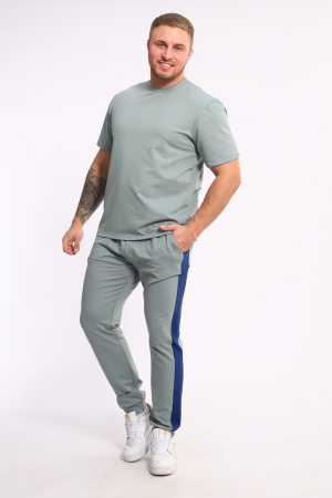 Мужской костюм 35282 / полынь