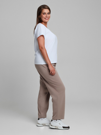 Женские брюки Авенсис-3 / бежевый