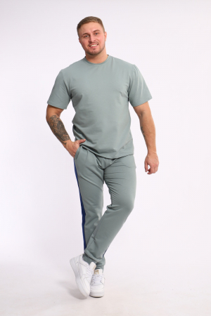 Мужской костюм 35282 / полынь