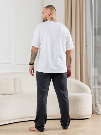 Брюки мужские Тор-3 / графитовый