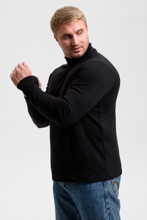 Водолазка мужская 14439/4 / черный