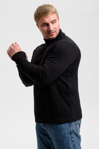 Водолазка мужская 14439/4 / черный