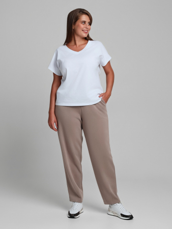 Женские брюки Авенсис-3 / бежевый
