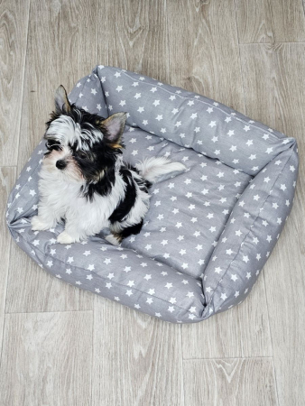 Лежак для кошек и собак / звезды, серый