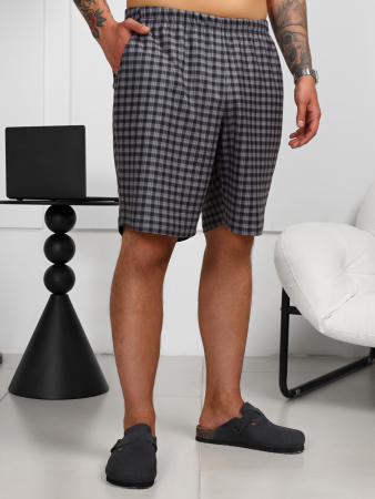 Шорты мужские Генри-2 / клетка