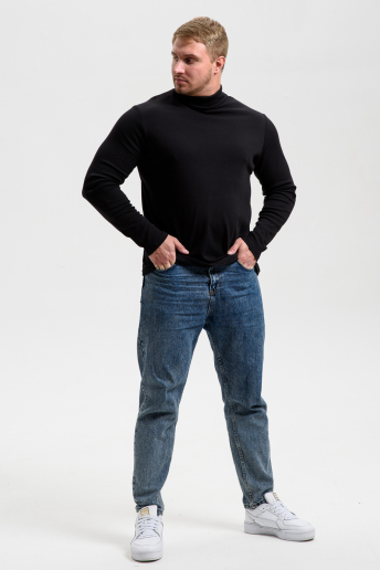 Водолазка мужская 14439/4 / черный