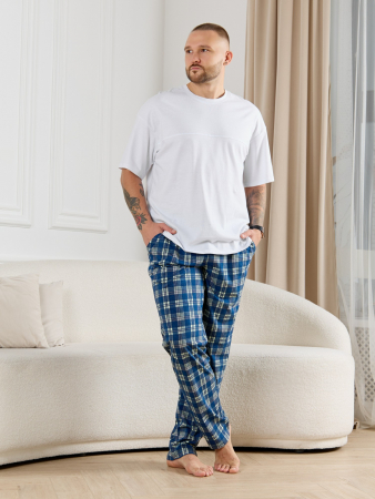 Брюки мужские Тор-1 / клетка синяя