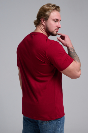 Мужская футболка 8581 / бордо+диско дедМ