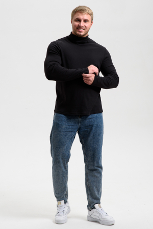 Водолазка мужская 14439/4 / черный