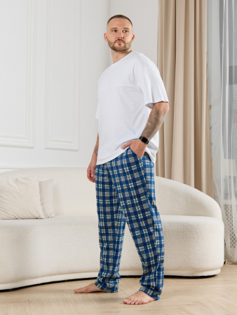 Брюки мужские Тор-1 / клетка синяя