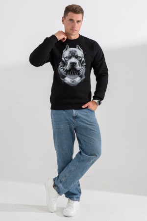 Мужской свитшот 8559 / черный+питбуль