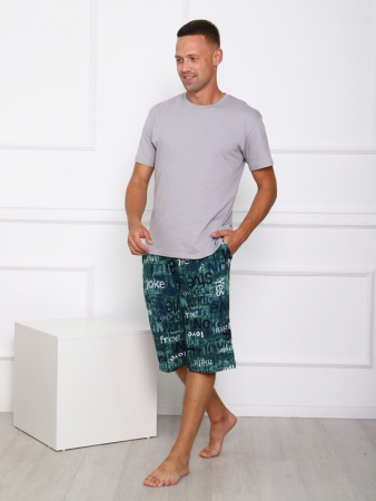 Мужские шорты Ш-3 / БЗ