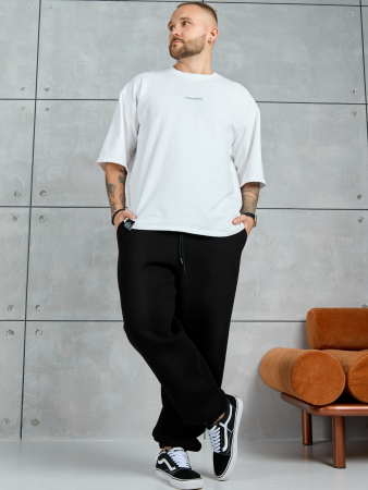 Мужские брюки Тренд / чёрный