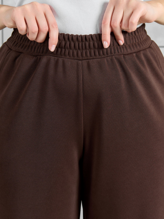 Женские брюки Авенсис-3 / коричневый