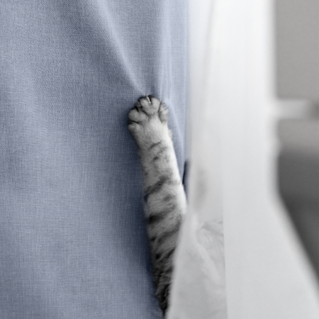 Комплект штор "Волшебная Ночь" Рогожка / Арктика