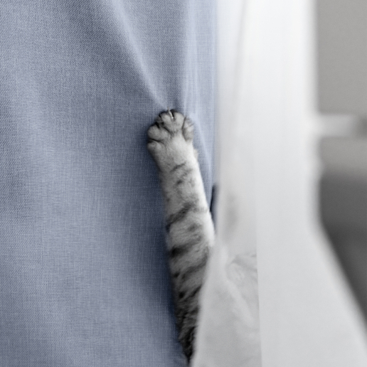 Комплект штор "Волшебная Ночь" Рогожка / Арктика